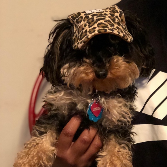 Meet your Posher, Jamard - Picture 1 of 1